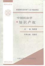 中国民法学  知识产权