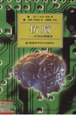 仿脑  从科幻到现实