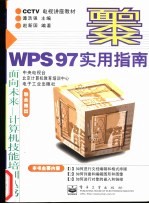 WPS97实用指南