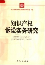 知识产权诉讼实务研究