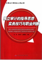 注册会计师执业上岗必读  独立审计的指导思想、实务技巧与职业判断