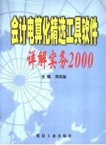 会计电算化精选工具软件详解实务2000