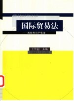 国际贸易法  国际知识产权法