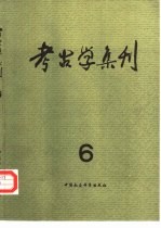 考古学集刊  6