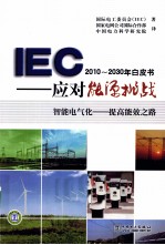 IEC 2010-2030年白皮书  应对能源挑战