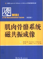 肌肉骨骼系统磁共振成像  第4版