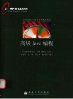 高级Java编程