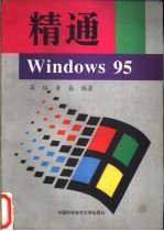 精通windows95