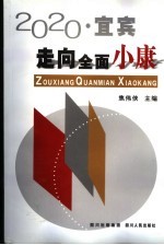 走向全面小康  2020·宜宾