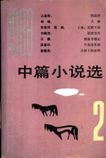 1988年中篇小说选  第2辑