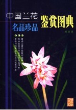 中国兰花名品珍品鉴赏图典