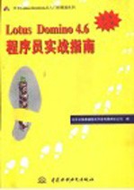 Lotus Domino程序员实战指南