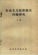 社会主义经济统计问题研究  上