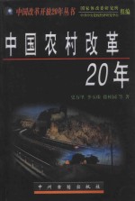 中国农村改革20年