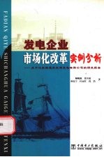 发电企业市场化改革实例分析  关于江苏南通天生港发电有限公司的研究报告