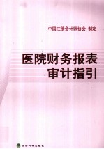 医院财务报表审计指引