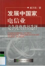 发展中国家电信业竞争优势路径选择