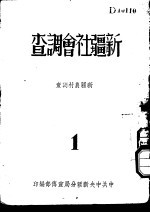 新疆社会调查  新疆农村调查  1