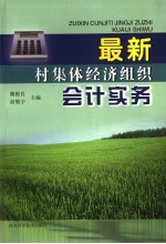 最新村集体经济组织会计实务