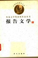 鲁迅文学获奖作品丛书  报告文学  下