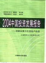 2004中国投资发展报告  持续发展中的房地产投资