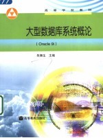 大型数据库系统概论 Oracle 9i