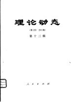 理论动态  第233-250期  第13辑