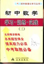 初中数学  学习·训练·实践  3