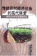 传统农村经济社会的现代转变  新世纪孙桥发展战略研究