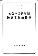 社会主义新时期民族工作的任务