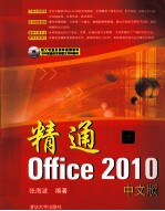 精通Office 2010  中文版