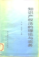 知识产权法的理论与实务