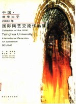 中国清华大学2000年国际陶艺交流作品集  中英文本