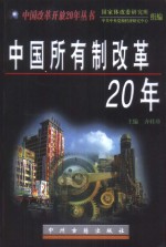 中国所有制改革20年