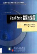 Visual Basic数据库编程