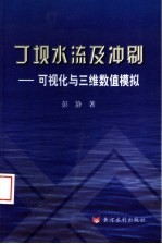 丁坝水流及冲刷  可视化与三维数值模拟