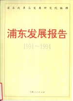 浦东发展报告  1991-1994