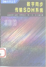 数字同步传输SDH系统