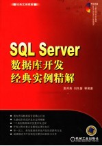 SQL Server数据库开发经典实例精解