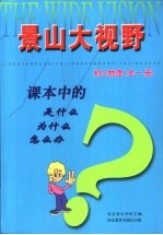 课本中的是什么  为什么  怎么办  初三物理  全1册