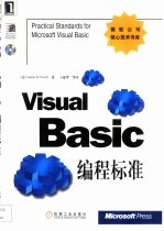 Visual Basic编程标准