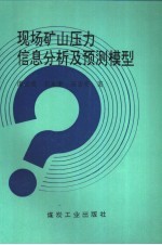 现场矿山压力信息分析及预测模型