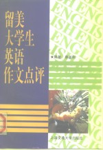 留美大学生英语作文点评