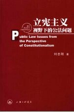 立宪主义视野下的公法问题