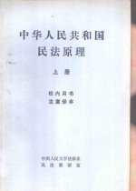 中华人民共和国民法原理  上