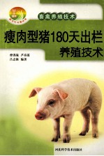 瘦肉型猪180天出栏养殖技术