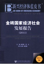 金砖国家经济社会发展报告  2011