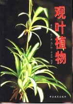 观叶植物