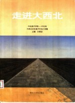 走进大西北  中央美术学院-中社网大西北纪实美术作品汇报集