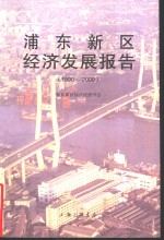 浦东新区经济发展  1990-2000